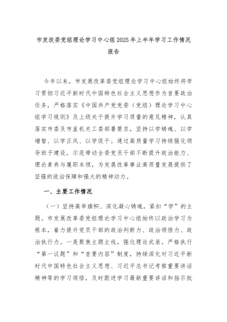 市发改委党组理论学习中心组2025年上半年学习工作情况报告