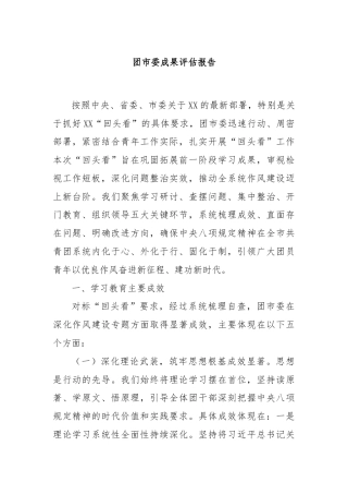 团市委成果评估报告