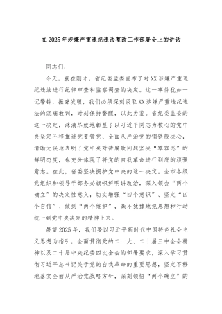 在2025年涉嫌严重违纪违法整改工作部署会上的讲话