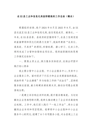 在XX县工业和信息化局挂职锻炼的工作总结（精品）