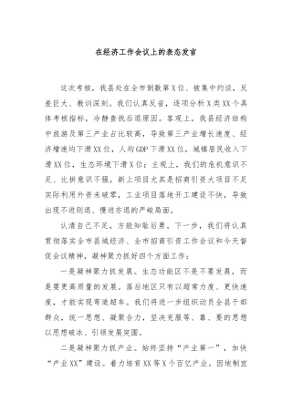 在经济工作会议上的表态发言