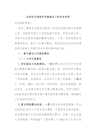 在涉民生领域专项督察会上的发言材料