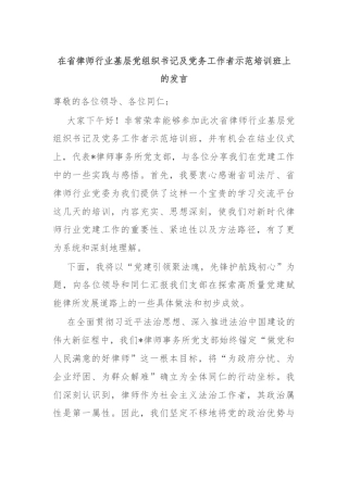 在省律师行业基层党组织书记及党务工作者示范培训班上的发言
