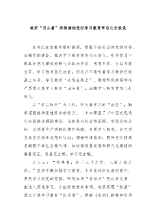 做好“回头看”持续推动党纪学习教育常态化长效化