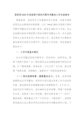 国资委2025年省控股不控权问题专项整治工作自查报告