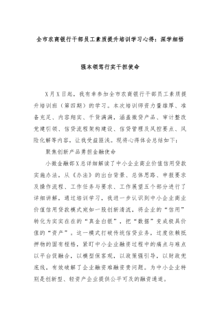 全市农商银行干部员工素质提升培训学习心得：深学细悟强本领笃行实干担使命