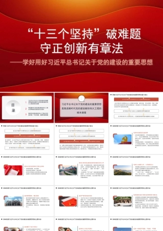 十三个坚持”破难题——学好用好关于党的建设的重要思想（PPT）