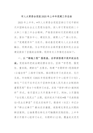 市人大常委会党组2025年上半年党建工作总结