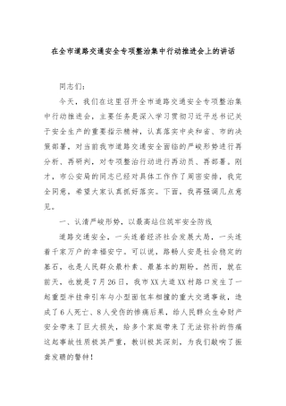 在全市道路交通安全专项整治集中行动推进会上的讲话