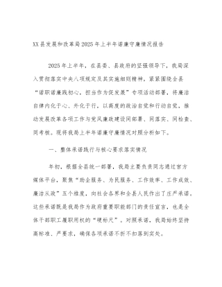 XX县发展和改革局2025年上半年诺廉守廉情况报告