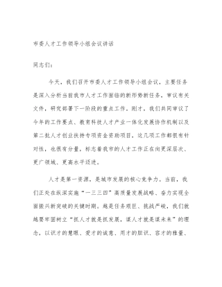 市委人才工作领导小组会议讲话