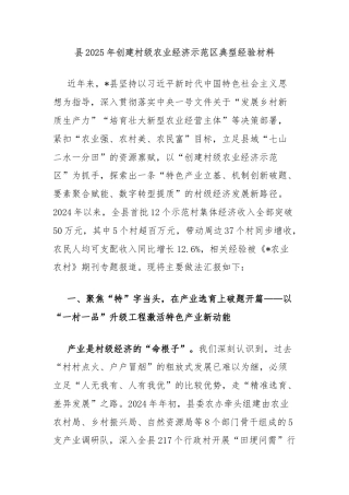 县2025年创建村级农业经济示范区典型经验材料