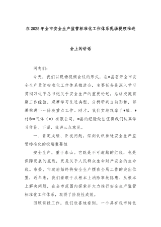 在2025年全市安全生产监管标准化工作体系现场视频推进会上的讲话