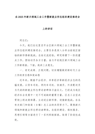 在2025年新兴领域工会工作暨新就业形态组织建设推进会上的讲话