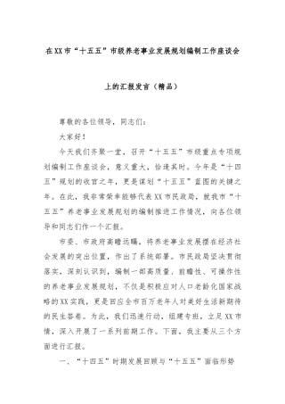 在XX市“十五五”市级养老事业发展规划编制工作座谈会上的汇报发言（精品）