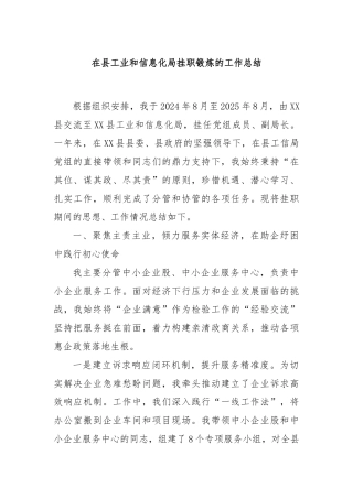 在县工业和信息化局挂职锻炼的工作总结