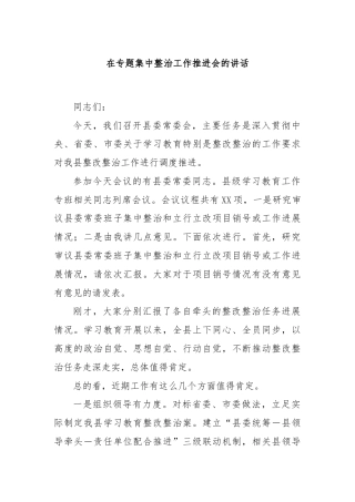 在专题集中整治工作推进会的讲话