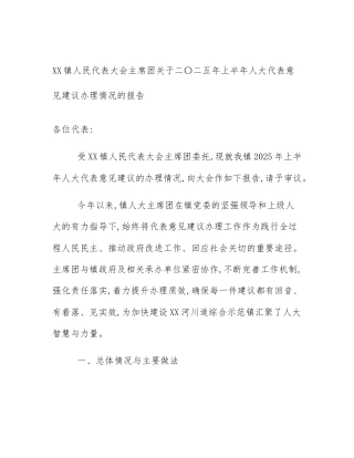 XX镇人民代表大会主席团关于二〇二五年上半年人大代表意见建议办理情况的报告