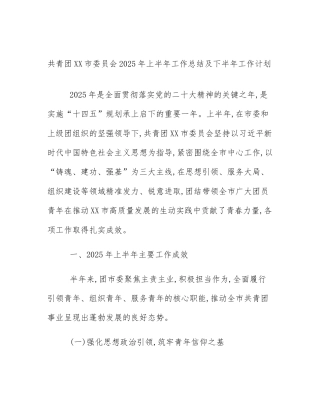 共青团XX市委员会2025年上半年工作总结及下半年工作计划