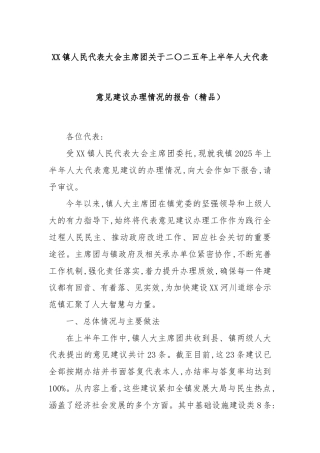 XX镇人民代表大会主席团关于二〇二五年上半年人大代表意见建议办理情况的报告（精品）