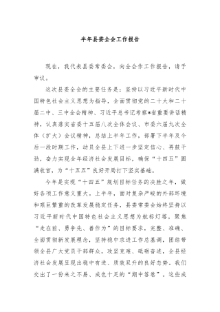 半年县委全会工作报告