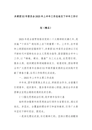 共青团XX市委员会2025年上半年工作总结及下半年工作计划（精品）