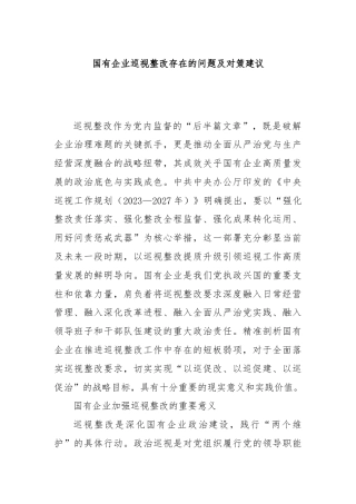 国有企业巡视整改存在的问题及对策建议