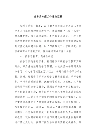 商务局专题工作总结汇报