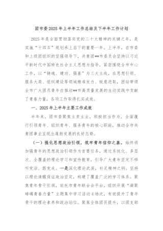 团市委2025年上半年工作总结及下半年工作计划