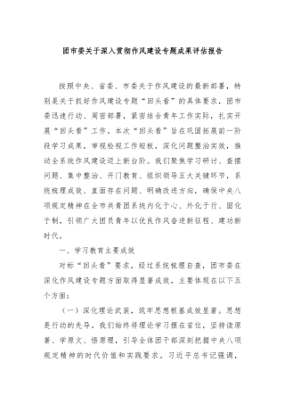 团市委关于深入贯彻作风建设专题成果评估报告