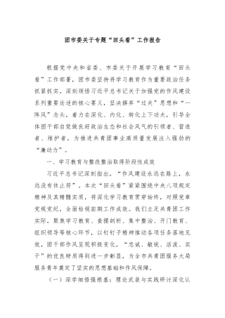 团市委关于专题“回头看”工作报告