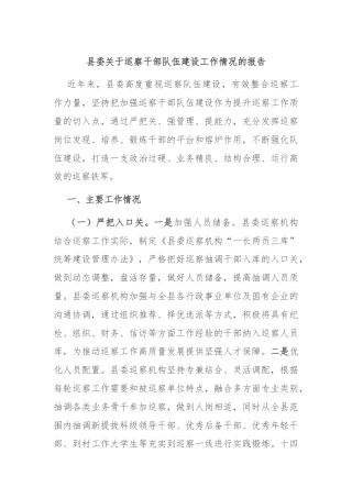 县委关于巡察干部队伍建设工作情况的报告