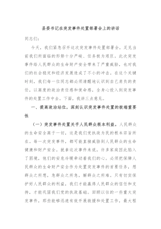 县委书记在突发事件处置部署会上的讲话