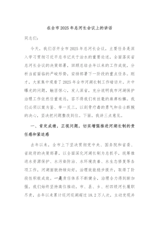 在全市2025年总河长会议上的讲话