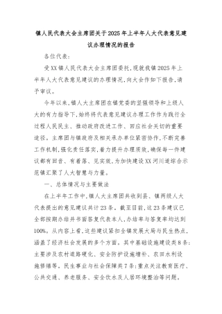镇人民代表大会主席团关于2025年上半年人大代表意见建议办理情况的报告