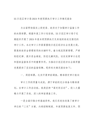 XX示范区审计局2024年度预算执行审计工作情况报告