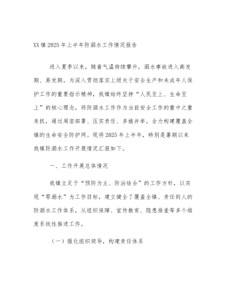 XX镇2025年上半年防溺水工作情况报告