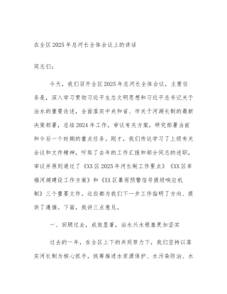 在全区2025年总河长全体会议上的讲话