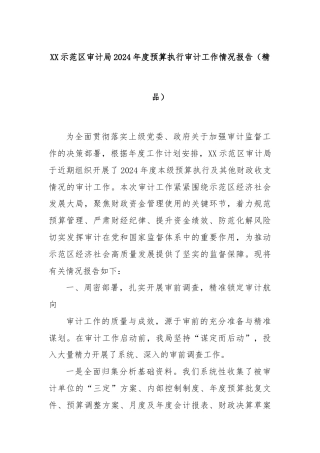 XX示范区审计局2024年度预算执行审计工作情况报告（精品）