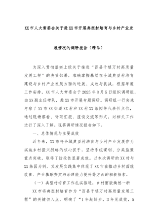 XX市人大常委会关于赴XX市开展典型村培育与乡村产业发展情况的调研报告（精品）