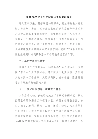 某镇2025年上半年防溺水工作情况报告