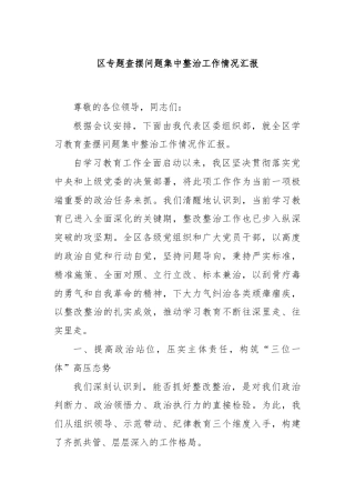 区专题查摆问题集中整治工作情况汇报