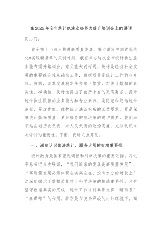 在2025年全市统计执法业务能力提升培训会上的讲话
