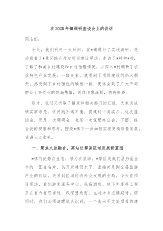 在2025年镇调研座谈会上的讲话