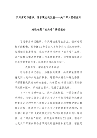 正风肃纪不停步，青春建功促发展——关于深入贯彻作风建设专题“回头看”情况报告