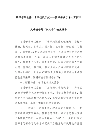 铸牢作风根基，青春扬帆正航——团市委关于深入贯彻作风建设专题“回头看”情况报告