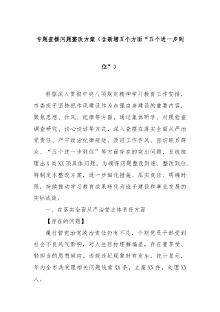 专题查摆问题整改方案（含新增五个方面“五个进一步到位”）