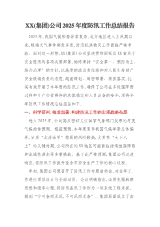 XX(集团)公司2025年度防汛工作总结报告