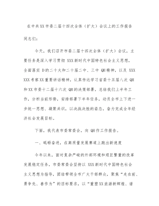 在中共XX市委二届十四次全体（扩大）会议上的工作报告