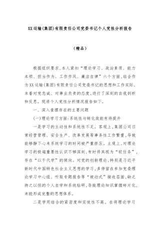 XX运输(集团)有限责任公司党委书记个人党性分析报告（精品）